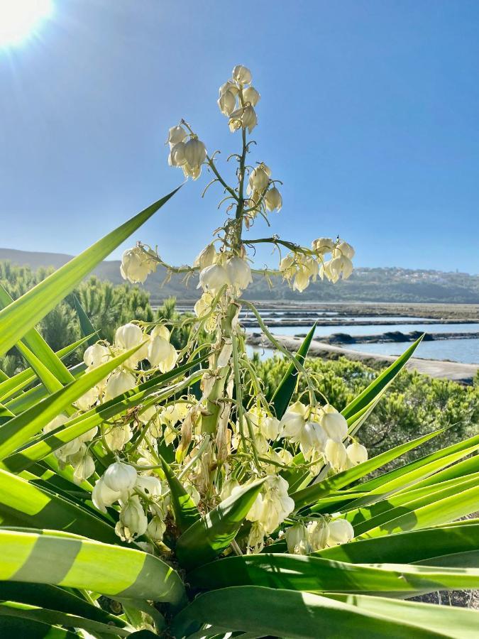 Herdade D' Amoreira Aljezur Εξωτερικό φωτογραφία